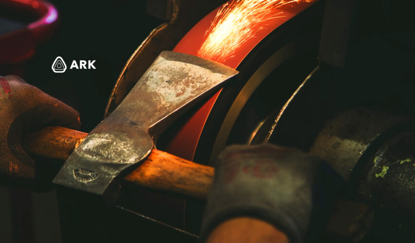ARK｜Iron Sharpens Iron: The Importance in Life & E-Commerce